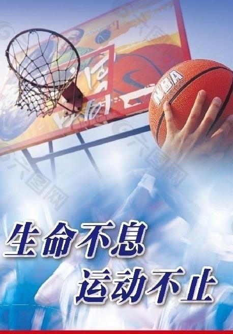 入了一个新